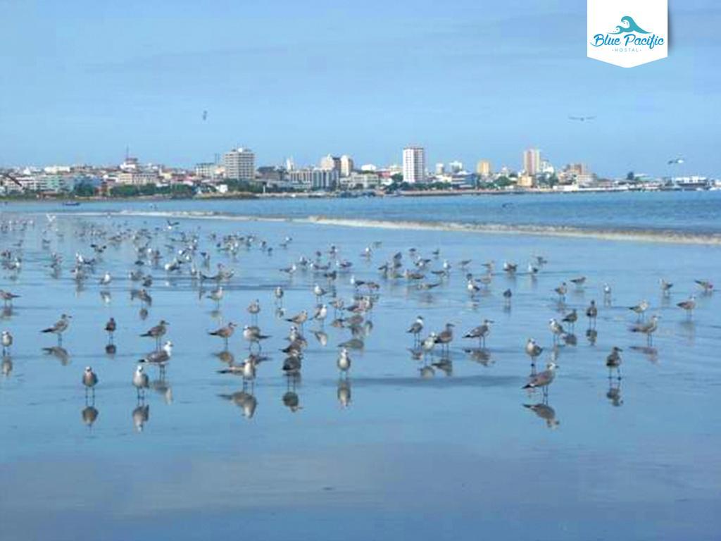 Hostal Blue Pacific Manta Bagian luar foto